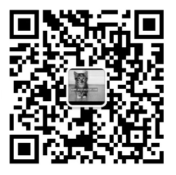 CONTACT插图2